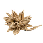 Vickerman H2STAX999 12-16" Bleached Star Pod Extra Large