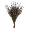 Vickerman H1STB300 14-18" Silver White Stoebe Bundle