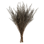 Vickerman H1STB300 14-18" Silver White Stoebe Bundle
