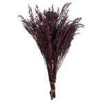 Vickerman H1STB575 14-18" Violet  Stoebe Bundle