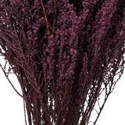 Vickerman H1STB575 14-18