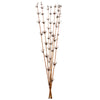 Vickerman H2STR800 36-40” Brown Star Bamboo Reed 7 Stems Dried