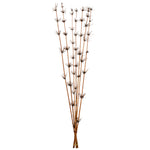 Vickerman H2STR800 36-40” Brown Star Bamboo Reed 7 Stems Dried