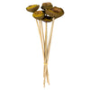 Vickerman H2TIG100 15" Basil Tigela Pod Stemmed 7 Stems Per Pack Dried