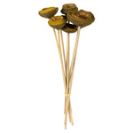 Vickerman H2TIG100 15" Basil Tigela Pod Stemmed 7 Stems Per Pack Dried