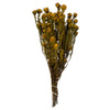 Vickerman H1TOF725 12" Aspen Gold Tortum Bundle Female Preserved