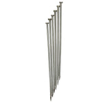 Dissecting Pins Nickel Plated Steel Set 2" H – Straight Dissection Pins 2 In by GSC International