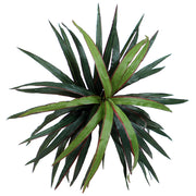 Vickerman TXX1140-06 4' Artificial Marginata Extra Full Bush Black Plastic Pot.