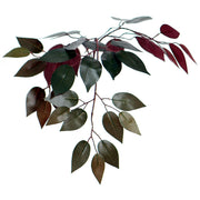 Vickerman TDX0360-RB 6' Artificial Capensia Deluxe Tree Brown Round Plastic Container.