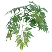 Vickerman TEX0660-RG 6' Artificial Ming Aralia Executive Tree Gray Round Plastic Container.