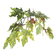 Vickerman TDX1760-07 6' Artificial Frosted Maple Deluxe Black Plastic Pot