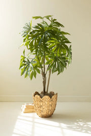 Kalalou artificial 4 foot Japanese aralia