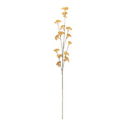 fall stem