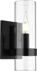Fine Art Lighting  GW10 Modern Clear Glass Wall Lamp Sconce Light, Black