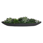 Artificial Succulent Centerpiece Black Resin Bowl 6" H Indoor Table Decor by Uttermost