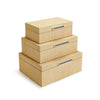 Two's Company 53590 Set of 3 Terra Cane Hinged Boxes with Lining