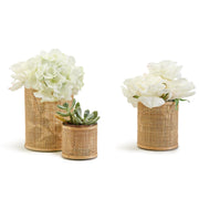 Two's Company 53707 Set of 3 Rattan Wrapped Cachepot/Candleholder