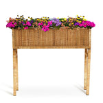 Two's Company 53820 Elevated Beautiful Hand Crafted Rattan Table Planter