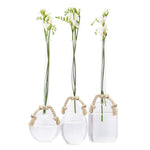 Two's Company 53911 Sleek And Chic Vase With Knotted Rope