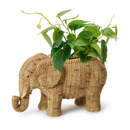 elephant planter