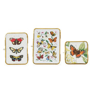  antique gold frames,