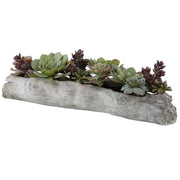Uttermost Charita Decorative Succulent Planter – 30×10×10 in Green Burgundy Faux Plants in Driftwood-Style Concrete