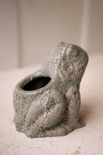 frog planter