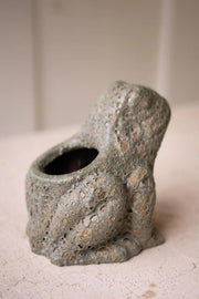frog planter