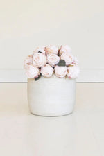 , cream rose bundle,