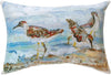 Coastal Throw Pillow for Beach House – Shore Bird Design