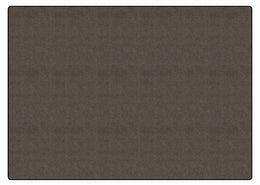 Carpets for Kids All Season Seaside Classroom Rug, Weathered Brown