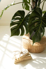 A monstera plant with large dark green leaves in a woven natural fiber pot cover, placed on a light floor with sunlight and window shadows. A small stack of wrapped books or cards sits nearby.