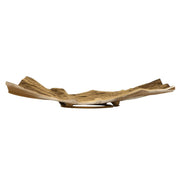 Uttermost Archive Brass Wall Accent with Textured Organic Design