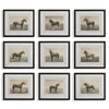 Uttermost 32343 Equine Dynasty Framed Prints Set of 9 with Walnut Wood Grain Frames