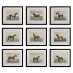 Uttermost 32343 Equine Dynasty Framed Prints Set of 9 with Walnut Wood Grain Frames