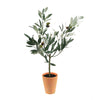 Potted Faux Olive Leaf Tree 22 Inch Height Home Decor Accent By Melrose