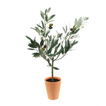 Potted Olive Tree Topiary 22 Inch Height Artificial Plant for Indoor Display By Melrose