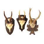 Two's Company 6754-20 The Hunt Club Set of 3 Antler Trophy