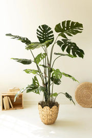 A tall artificial Monstera plant with large green leaves in a woven straw-colored pot, styled on a white surface against a warm off-white wall with small decorative props.