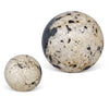 Modern Decorative Sphere Set of 2