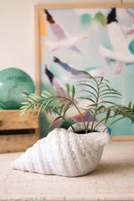 conch shell planter