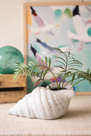 conch shell planter