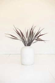 A matte white ceramic vase filled with dark brown ornamental grass stems, set against a minimalist off-white background.