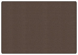 Carpets for Kids All Seasons Mountainside Classroom Rug, Cattail Brown