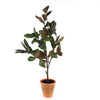 Potted Faux Magnolia Sapling
