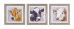 Melrose Wood Framed Cow Print Under Glass (Set of 3)