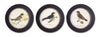Decorative Framed Bird Wall Art