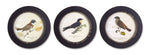 Wood Framed Encyclopedia Bird Prints – Set of 3 Round Wall Decor 9.5" by Melrose