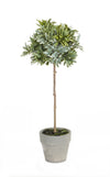 Faux potted herb set of two in small plastic pots for indoor décor
