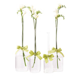 Two's Company 7479 Sleek And Chic Set of 4 Jug Vase with Green Ribbon